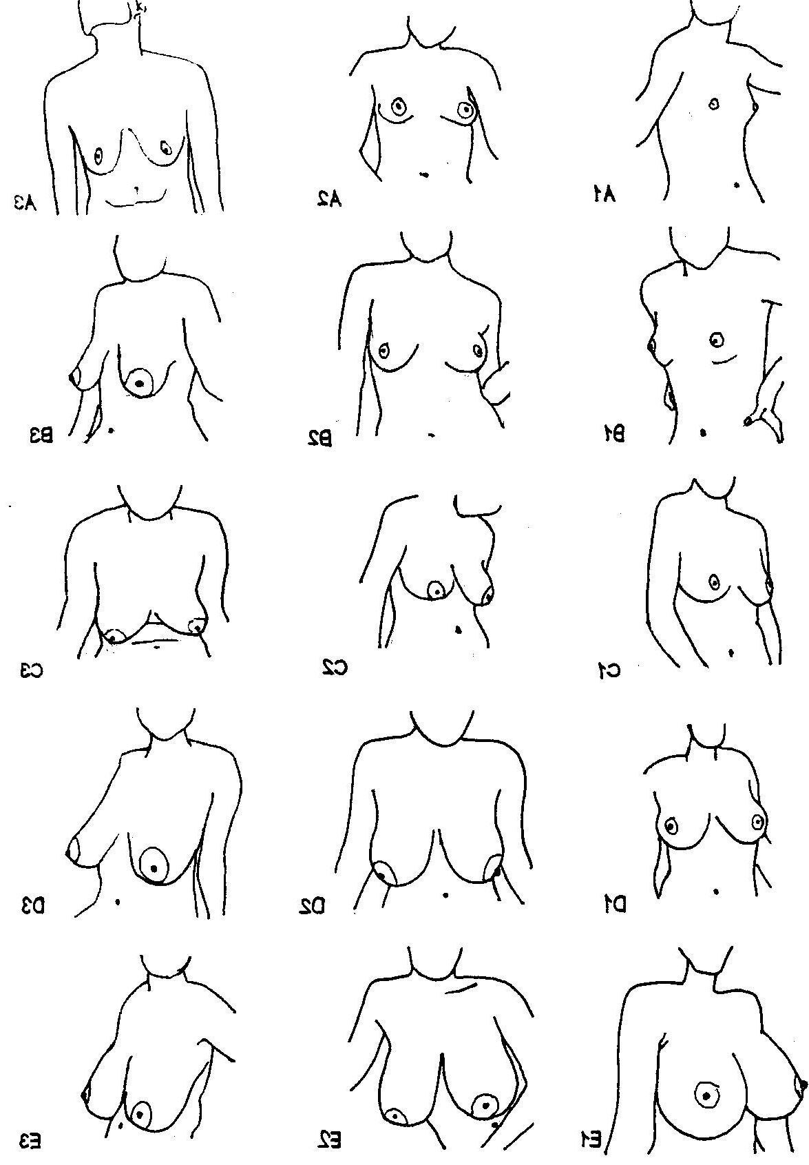 Brustkatalog