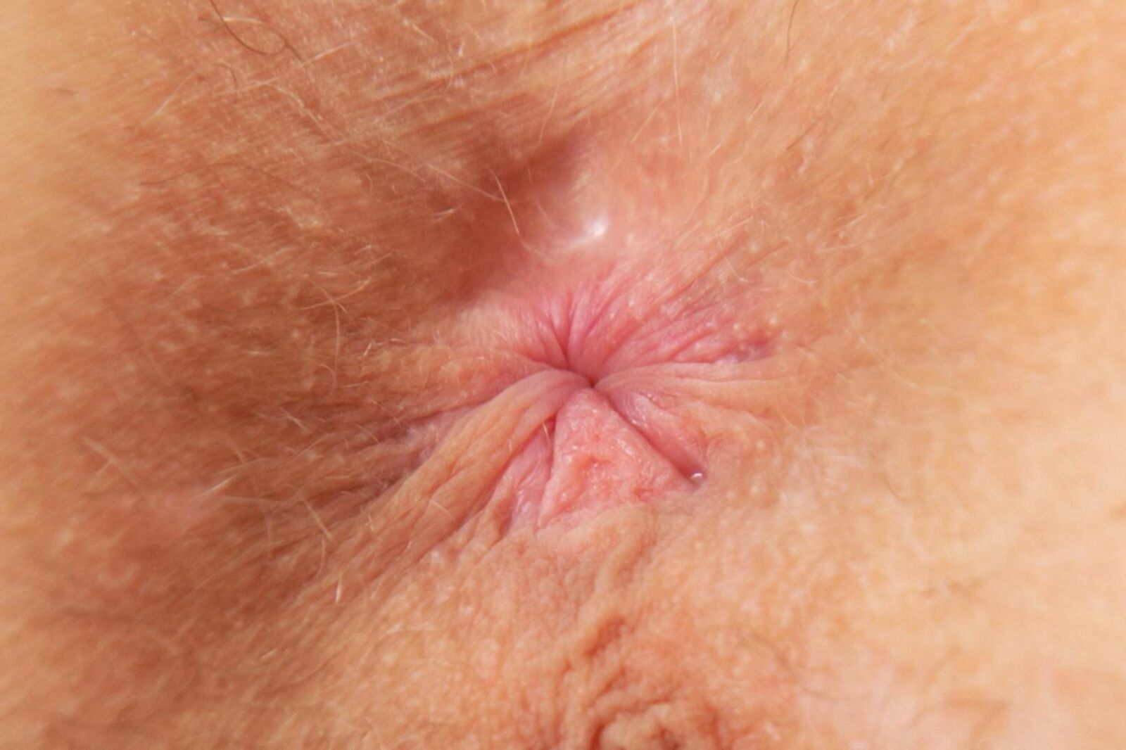 HD Female Asshole Closeups #