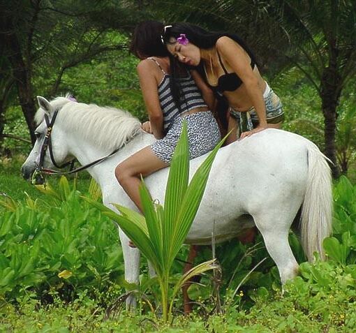 PONY RIDING 