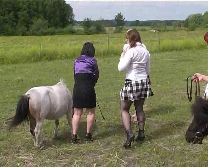 PONY RIDING 