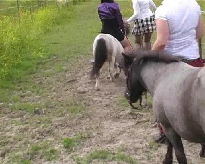 PONY RIDING 