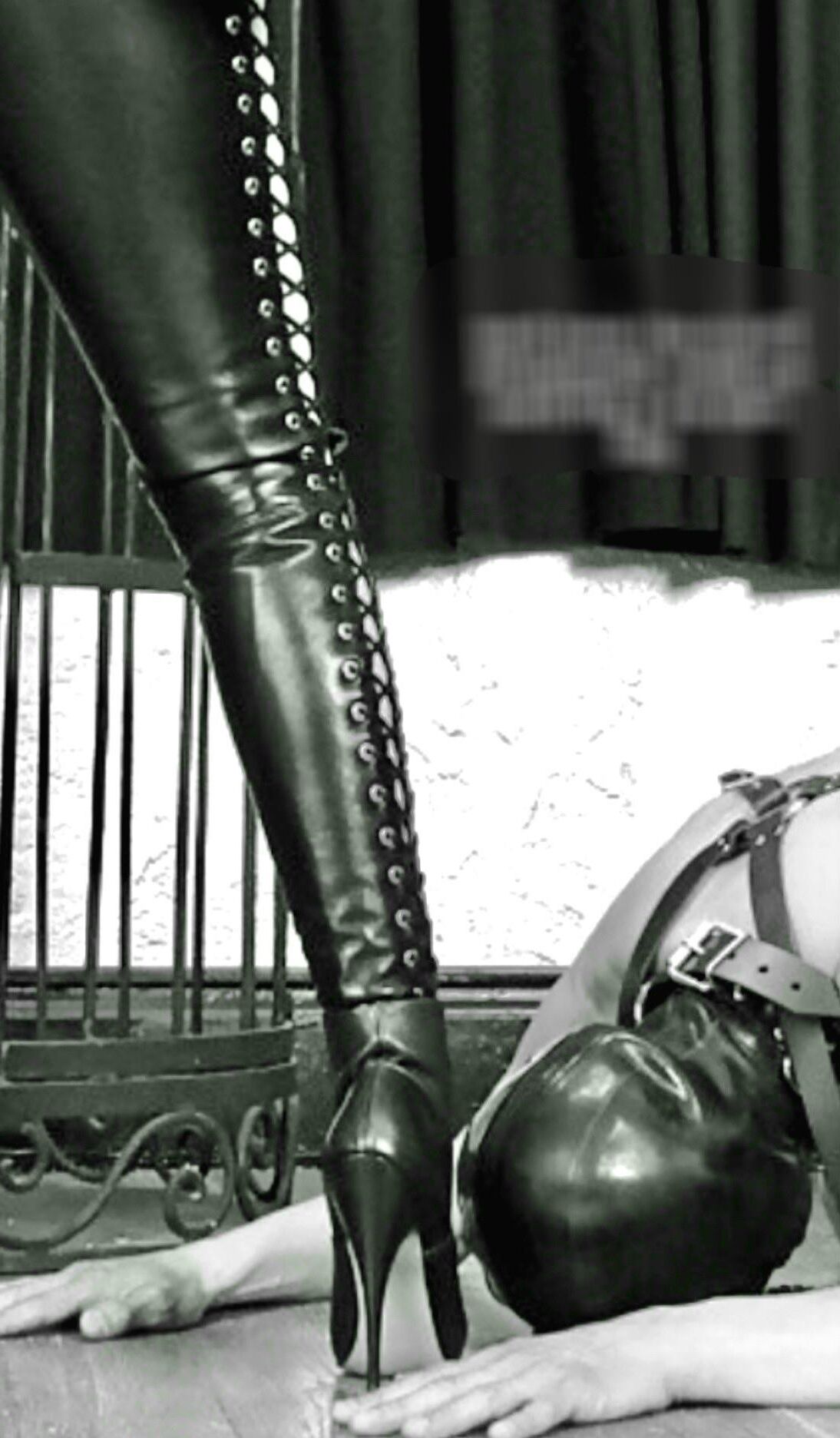 Female Authority 