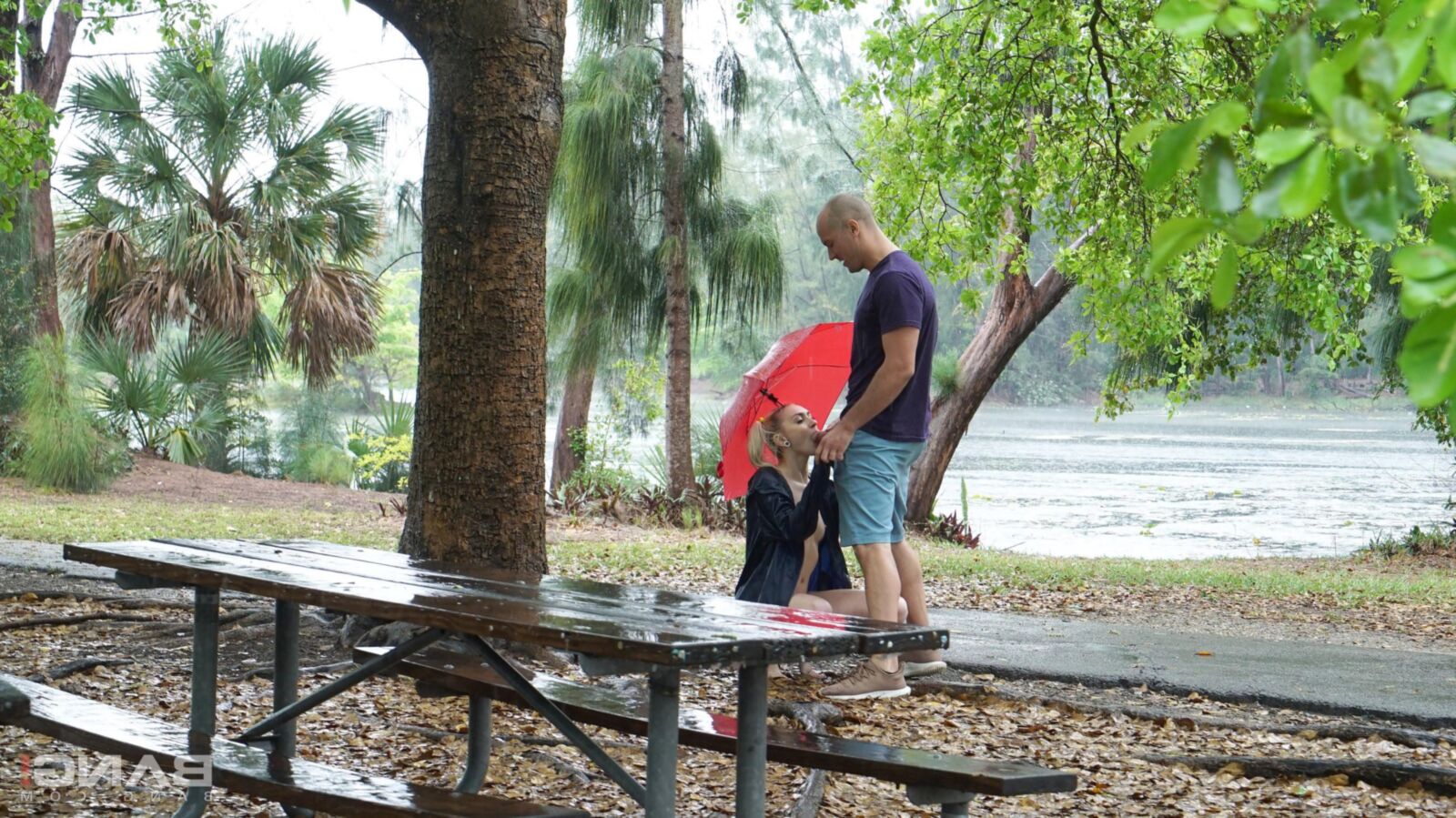 Chloe Temple Strips and fucks in public on a rainy day!