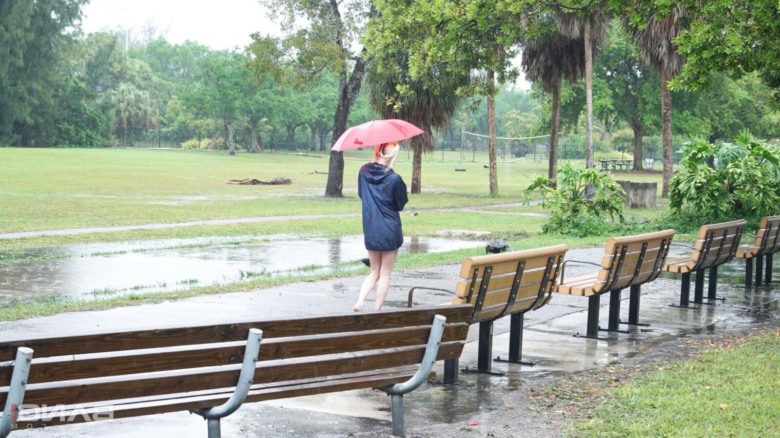 Chloe Temple Strips and fucks in public on a rainy day!