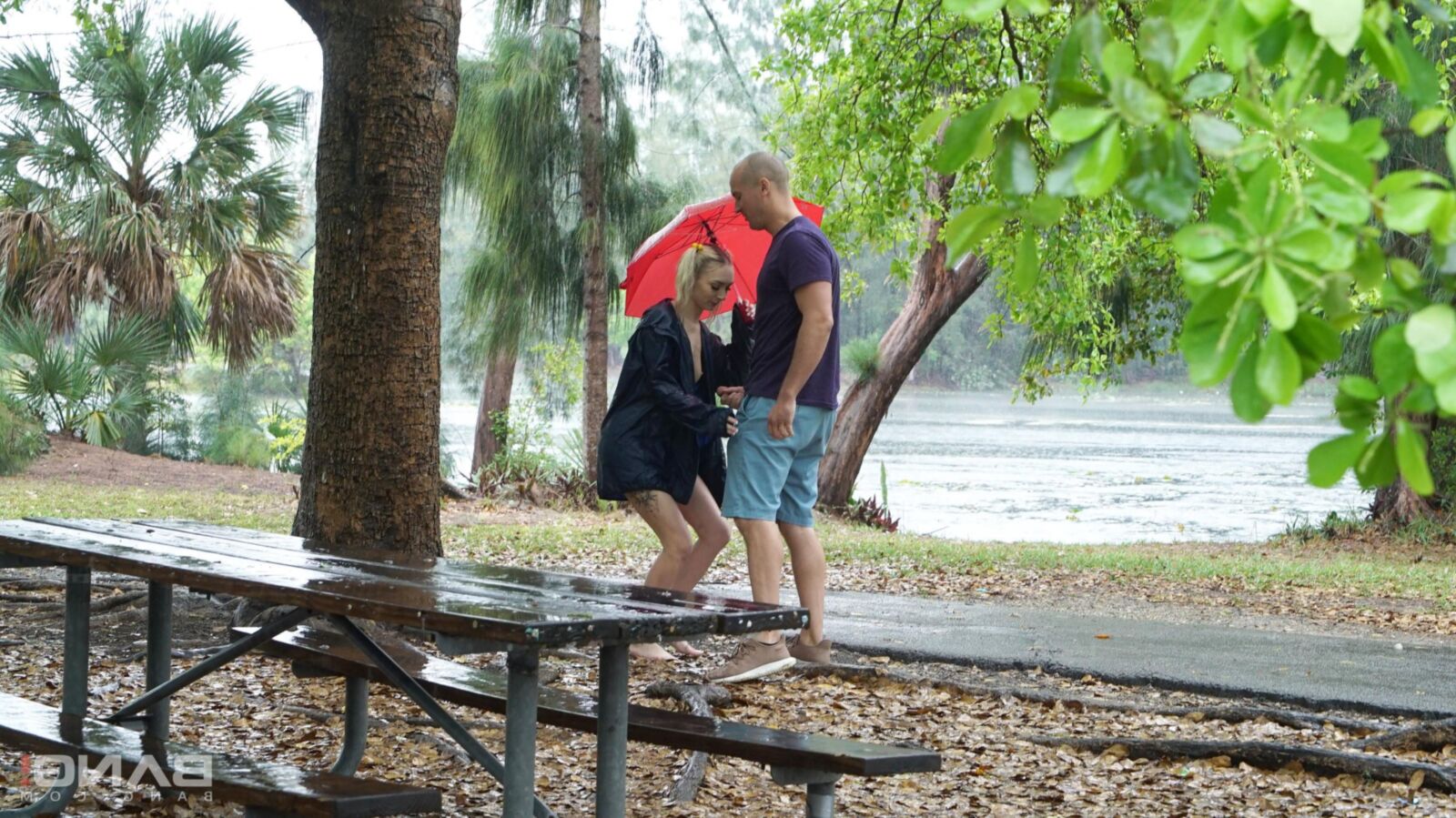Chloe Temple Strips and fucks in public on a rainy day!