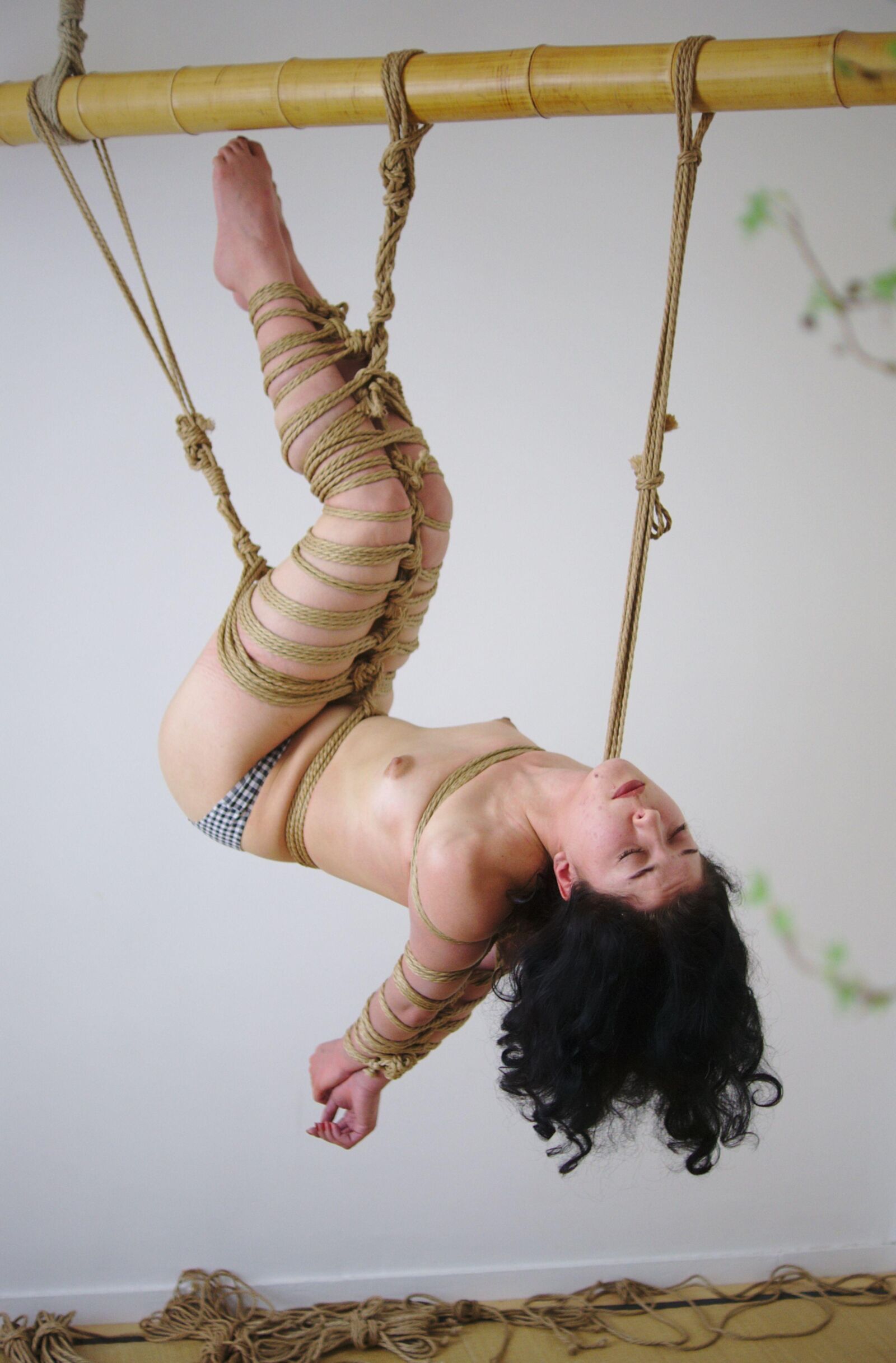 shibari