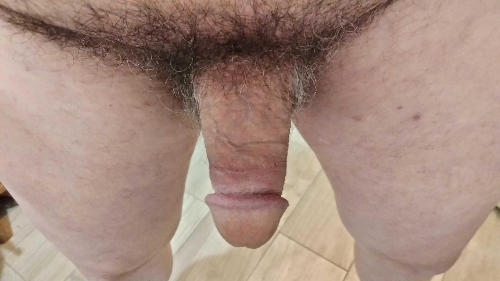 limp phallus