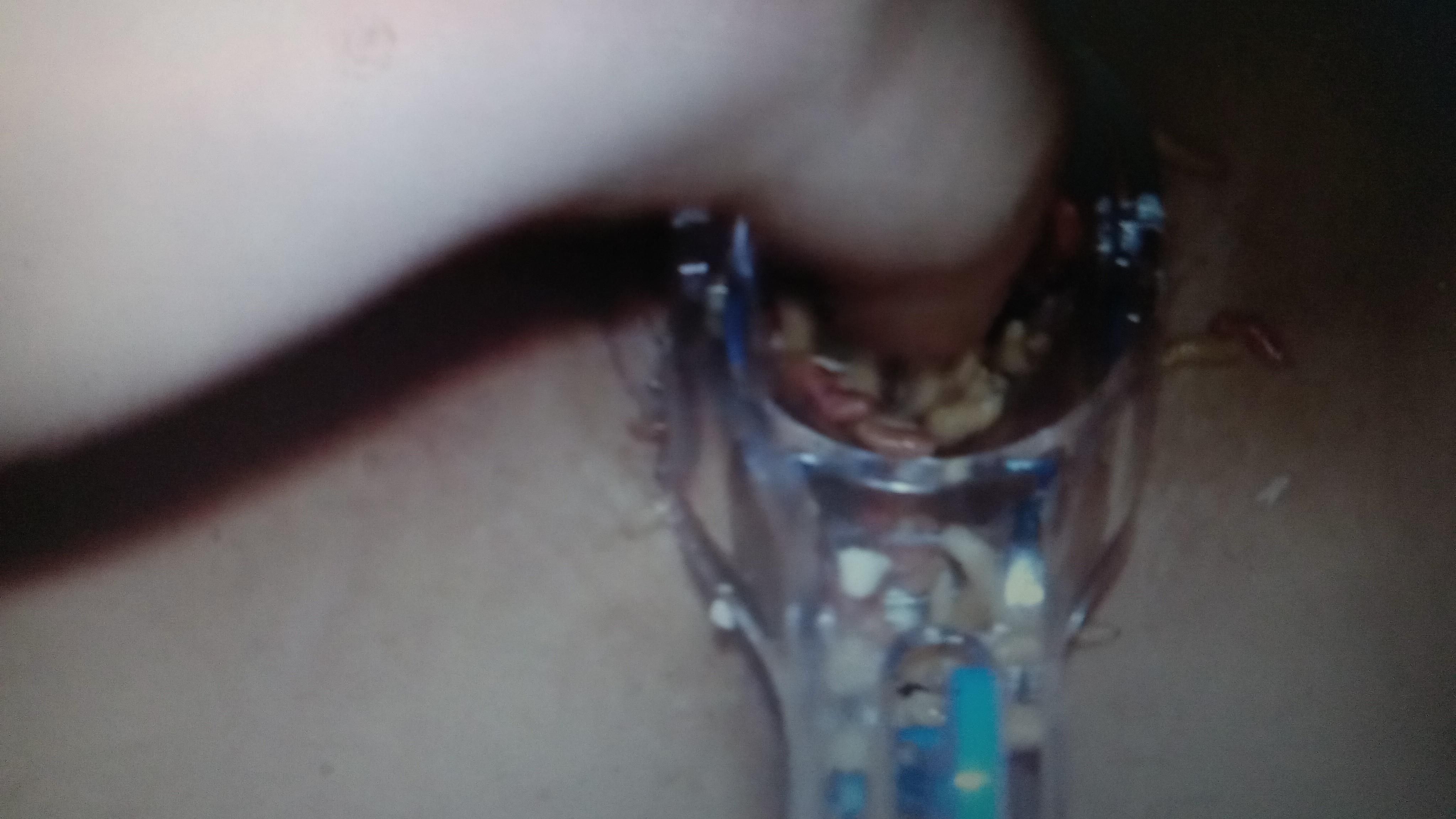 Speculum fun