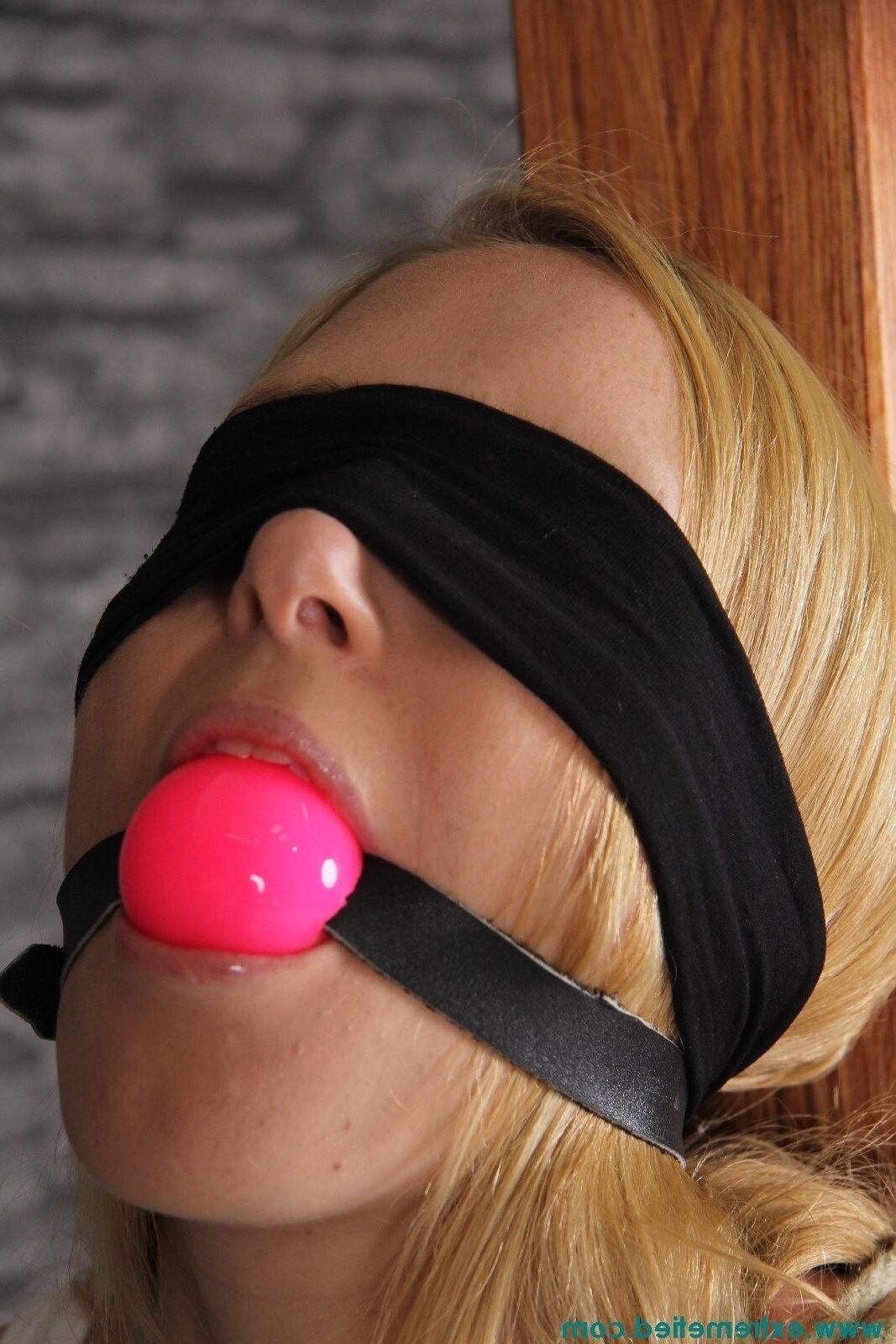 Bodacious Ballgags Vol. 