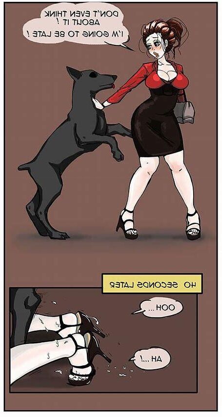 Домашние животные