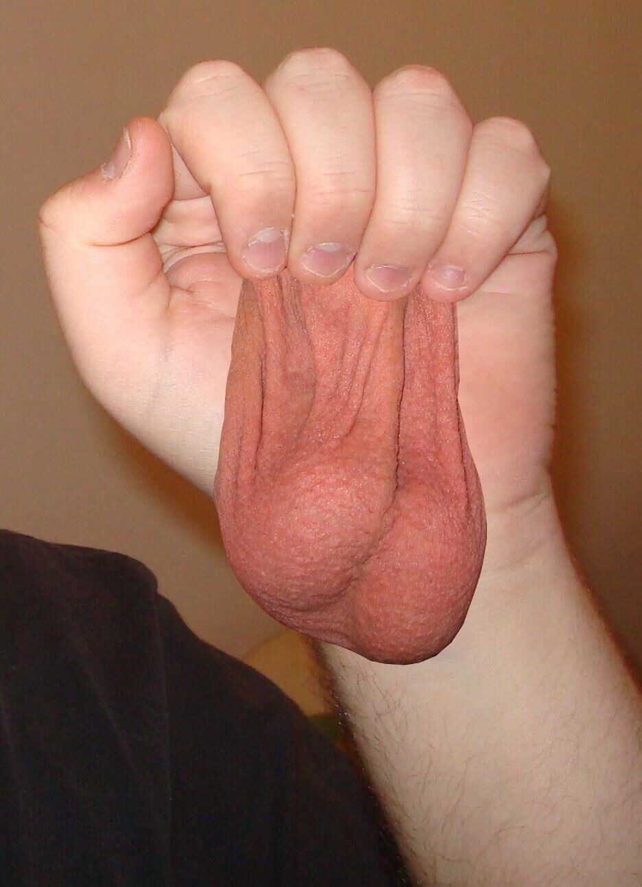 Penectomy Castration Castratrix cut off funny weird insolit 