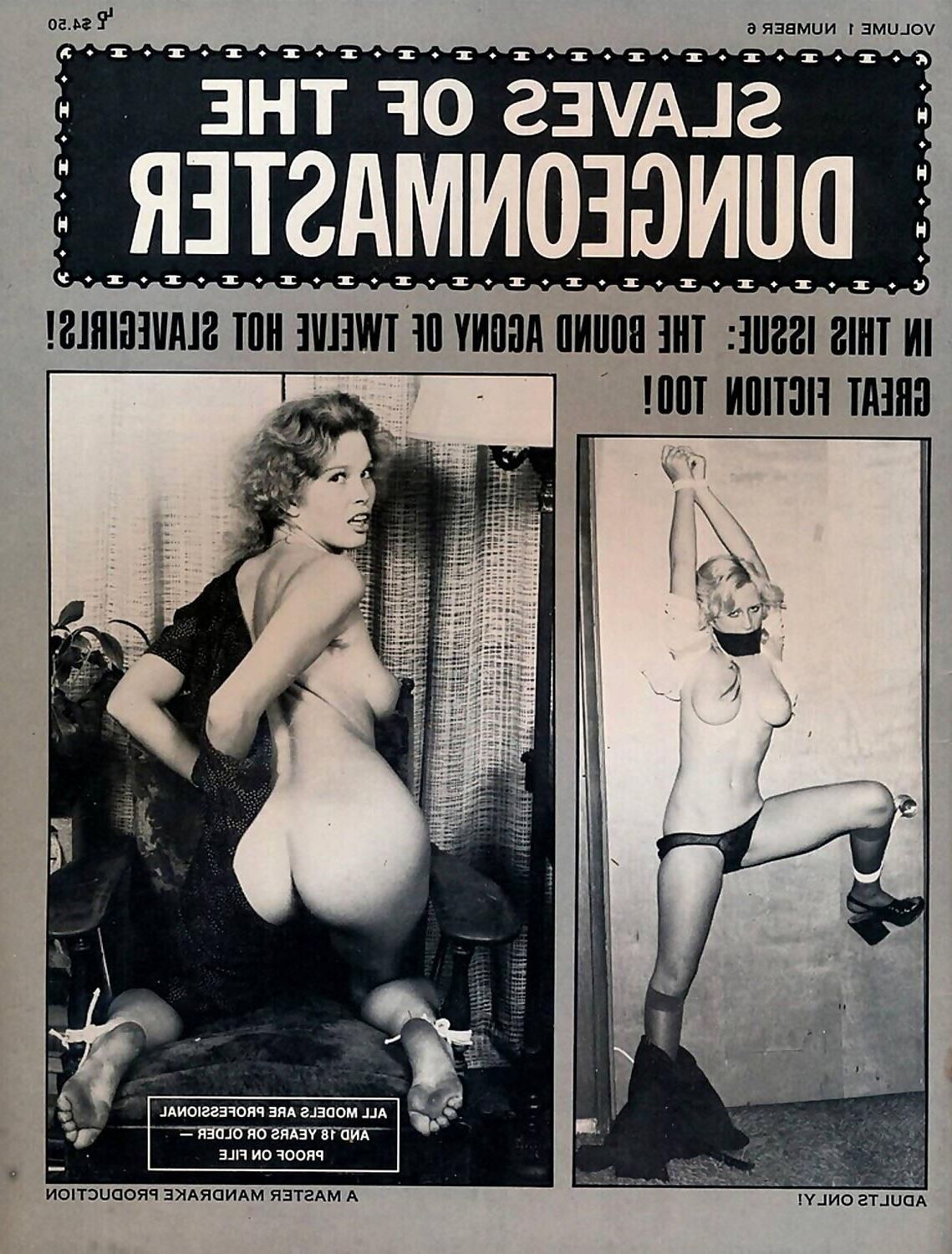 Assorted Bondage Magazine Covers