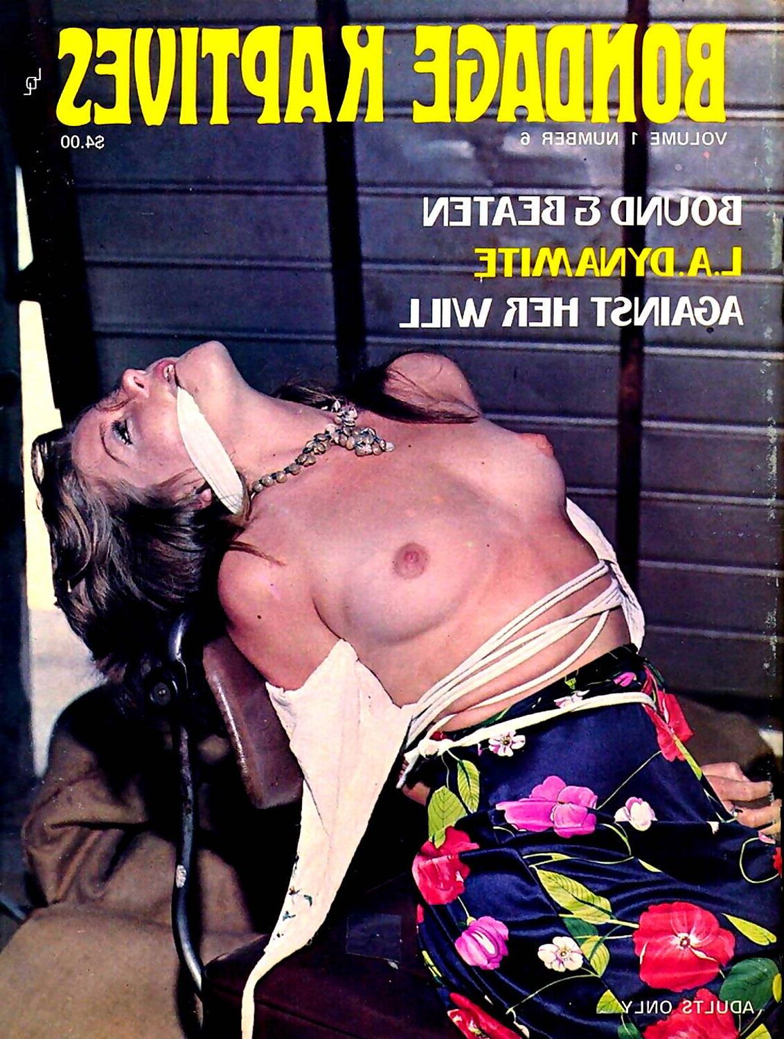 Assorted Bondage Magazine Covers