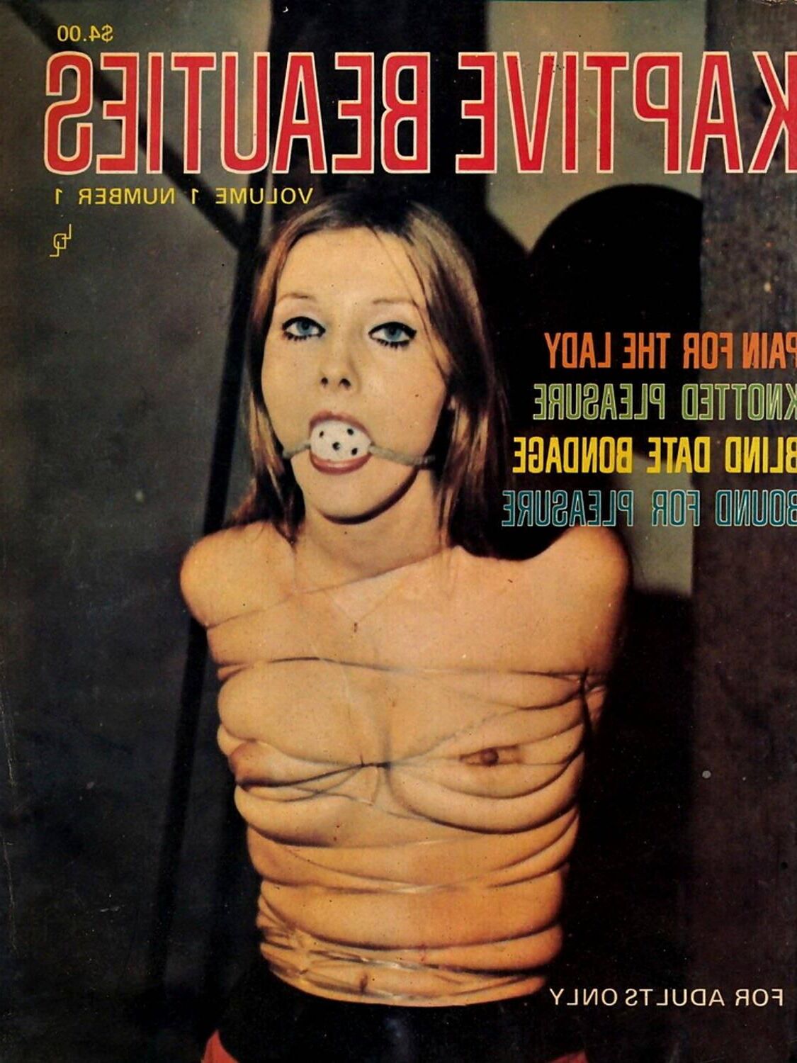 Assorted Bondage Magazine Covers