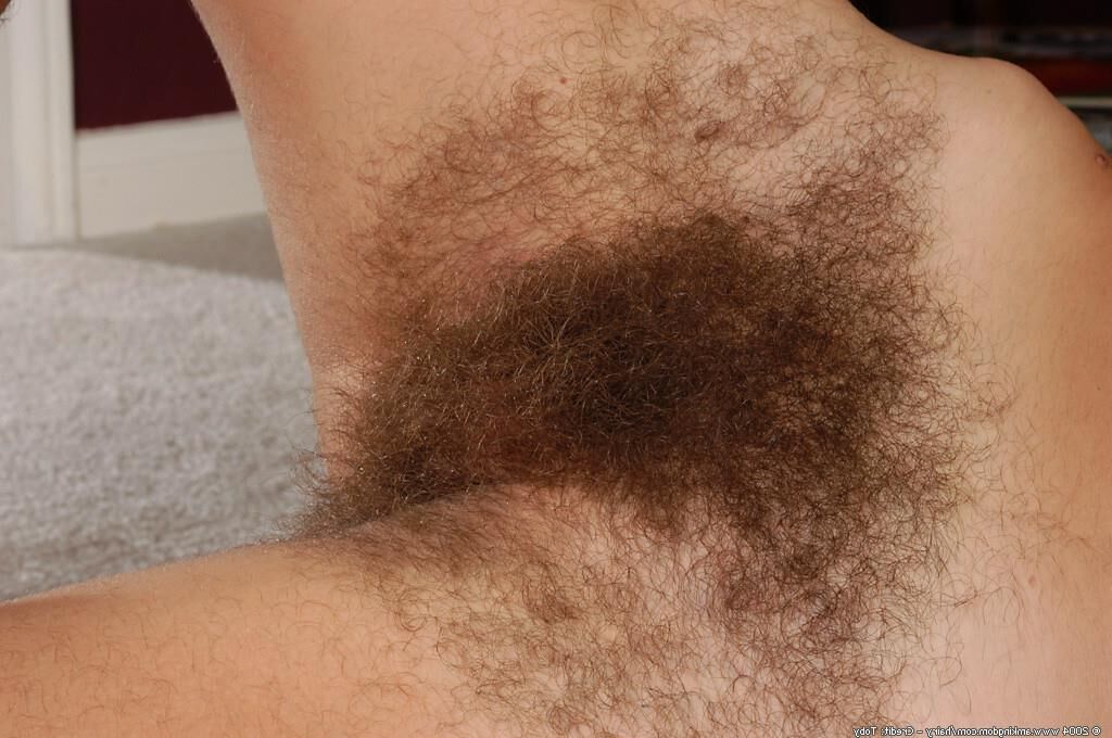 Random Hairy Delights 