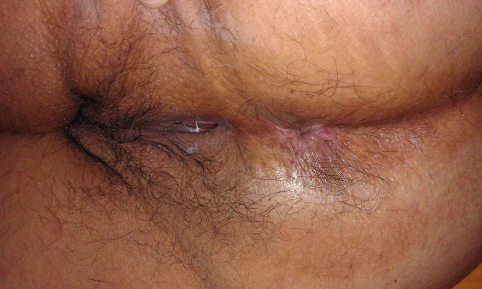 holes, beautiful assholes