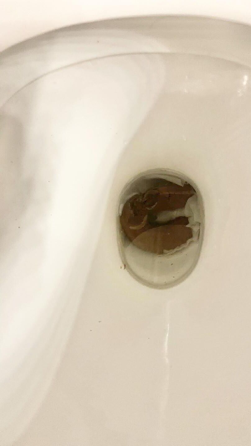 PM