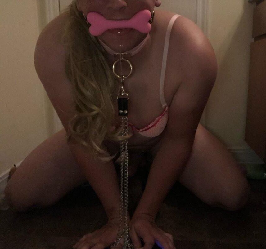 Collared sluts 