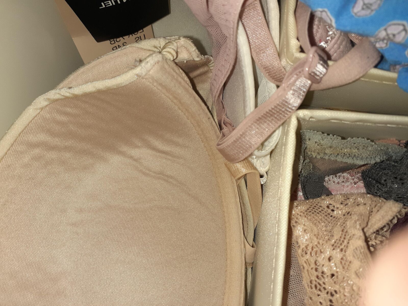 Neighbor's panty drawer