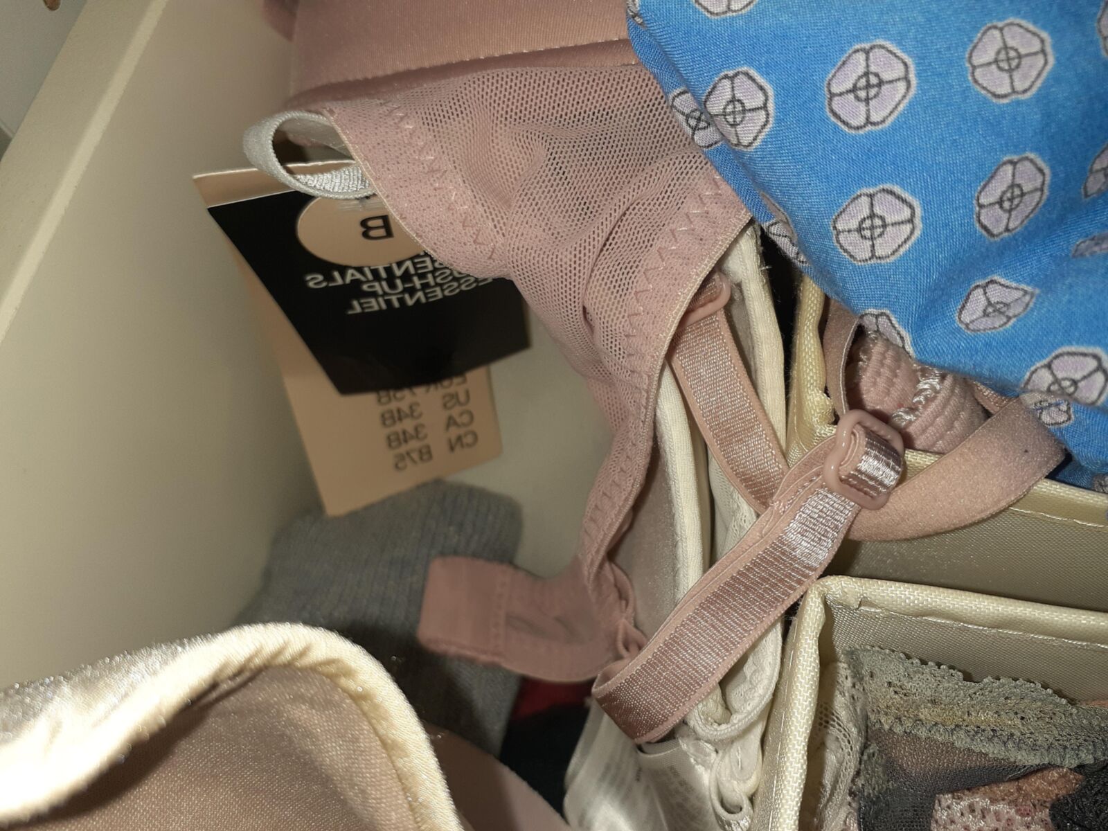 Neighbor's panty drawer