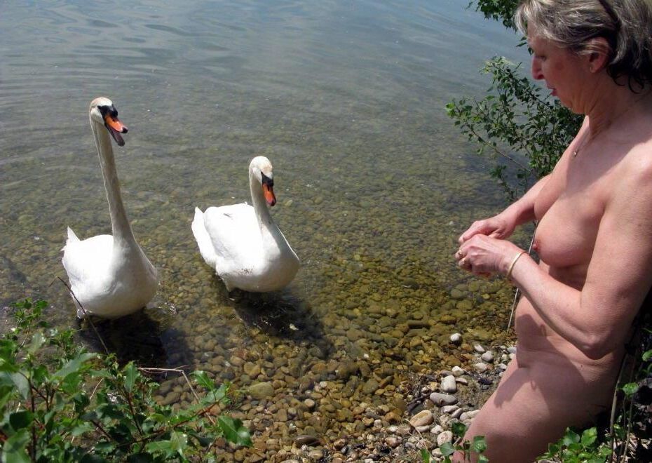 Ne le dis pas a la SPA...