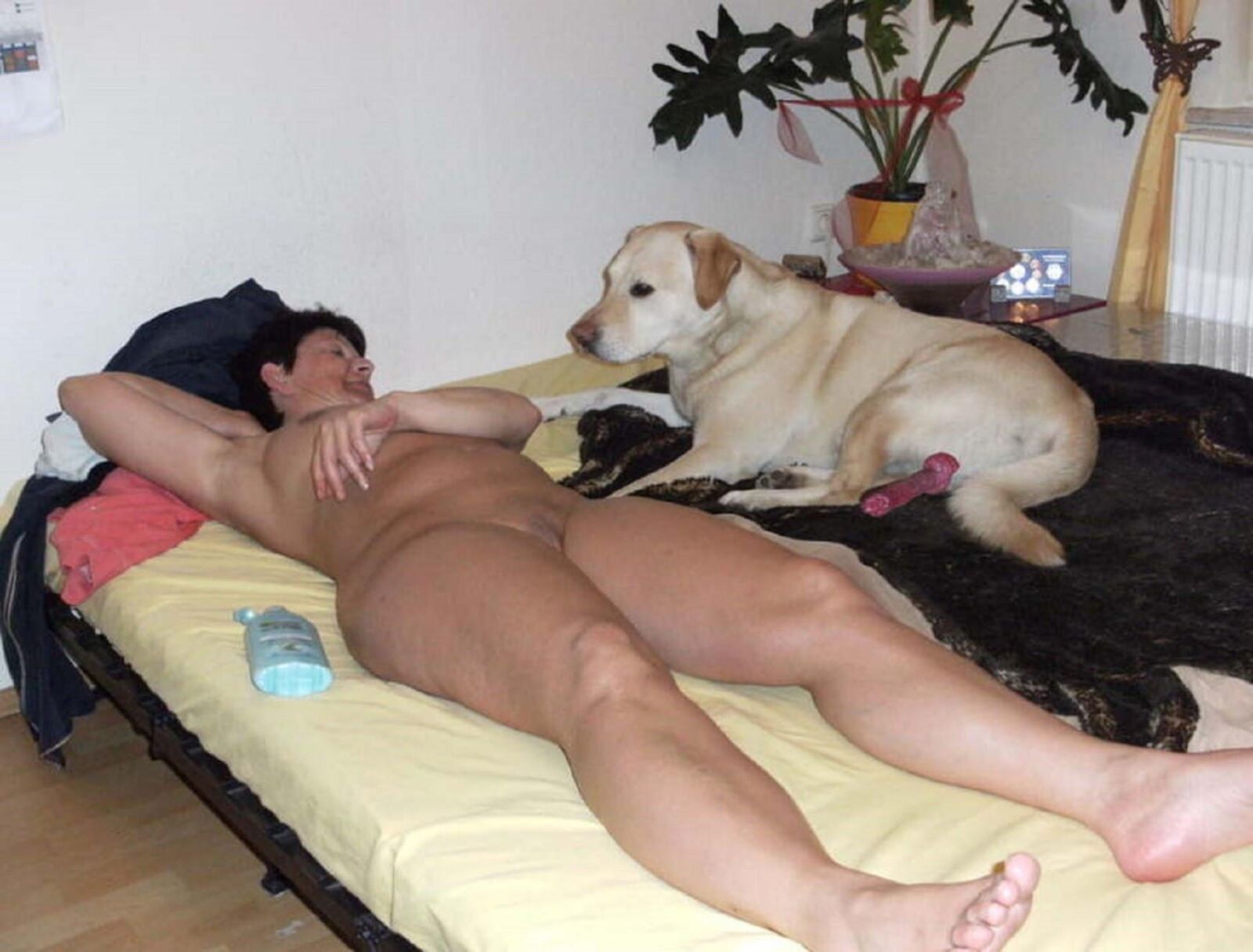 Ne le dis pas a la SPA...