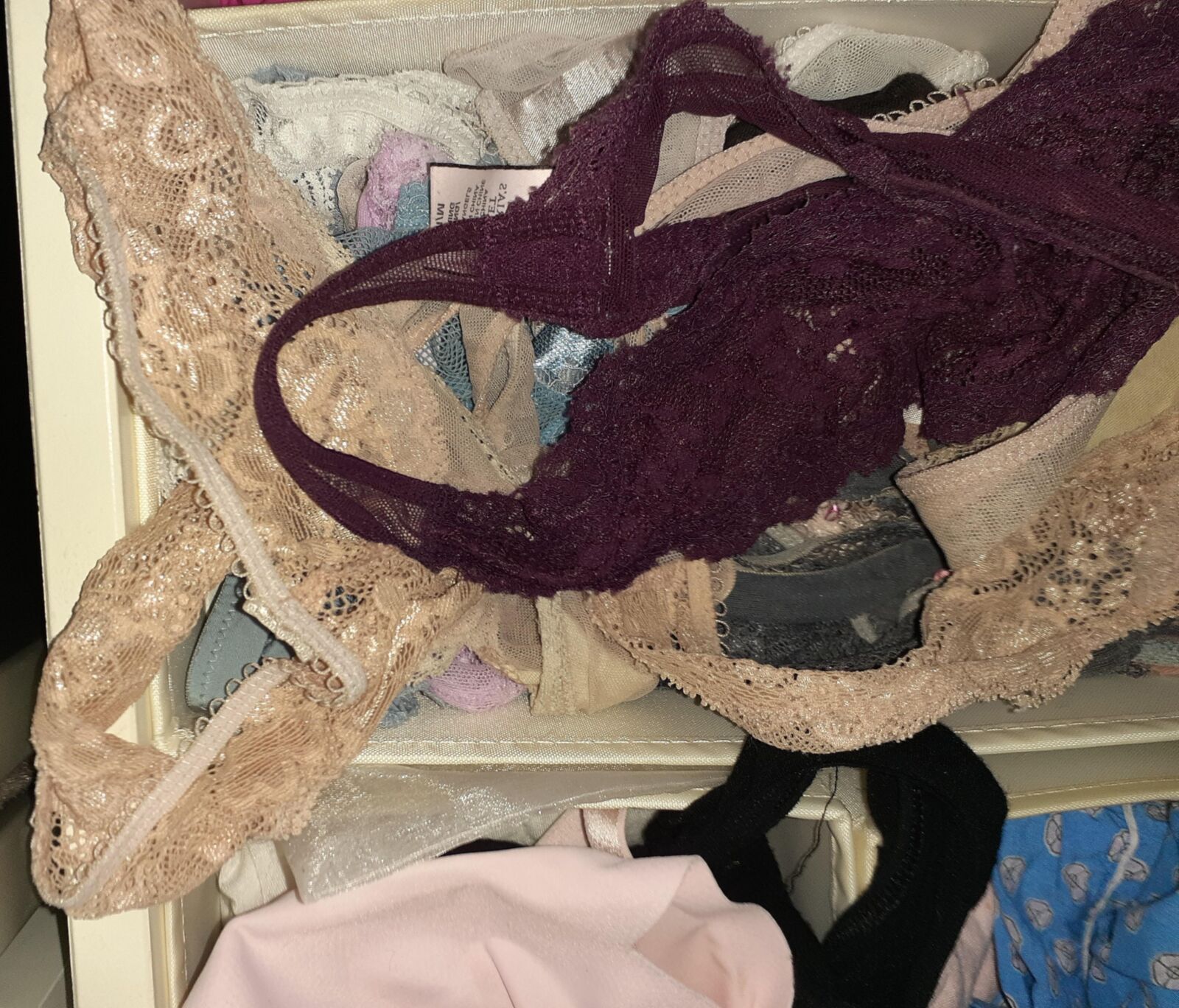 Neighbor's panty drawer