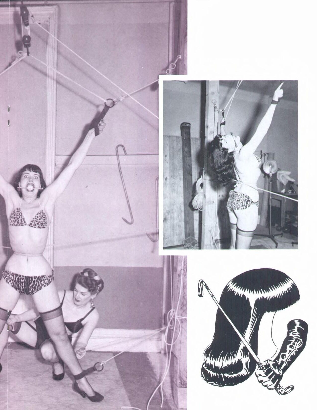 Betty Page Private Peeks, volume ()