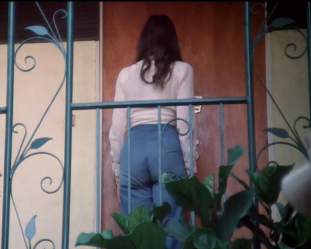 Chica tímida Vintage Cameltoe Jeans Teen Cutie Mary Swan Fuck