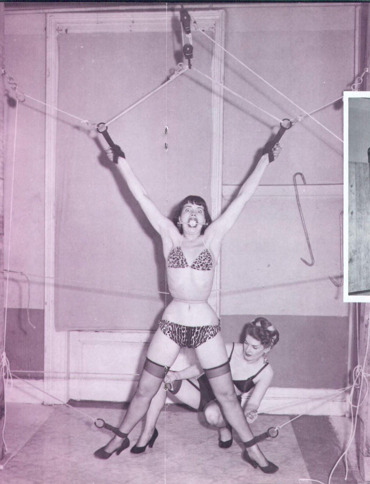 Betty Page Private Peeks, volume ()