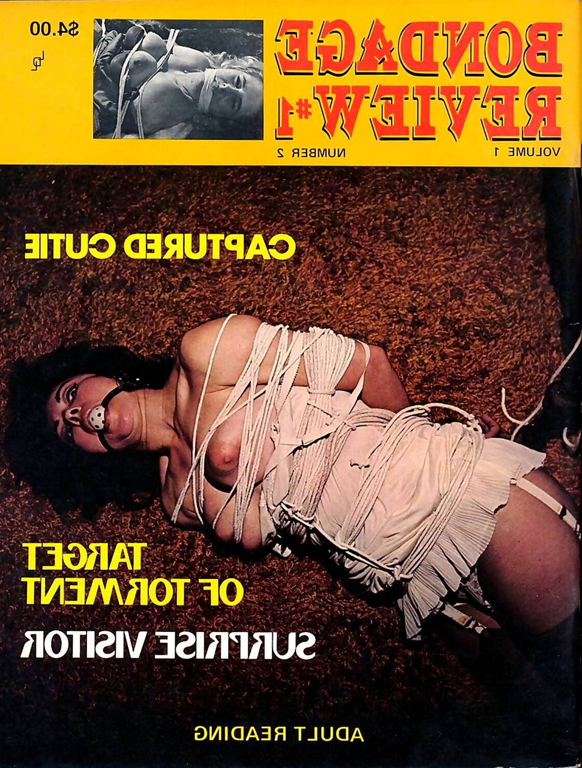 Assorted Bondage Magazine Covers 