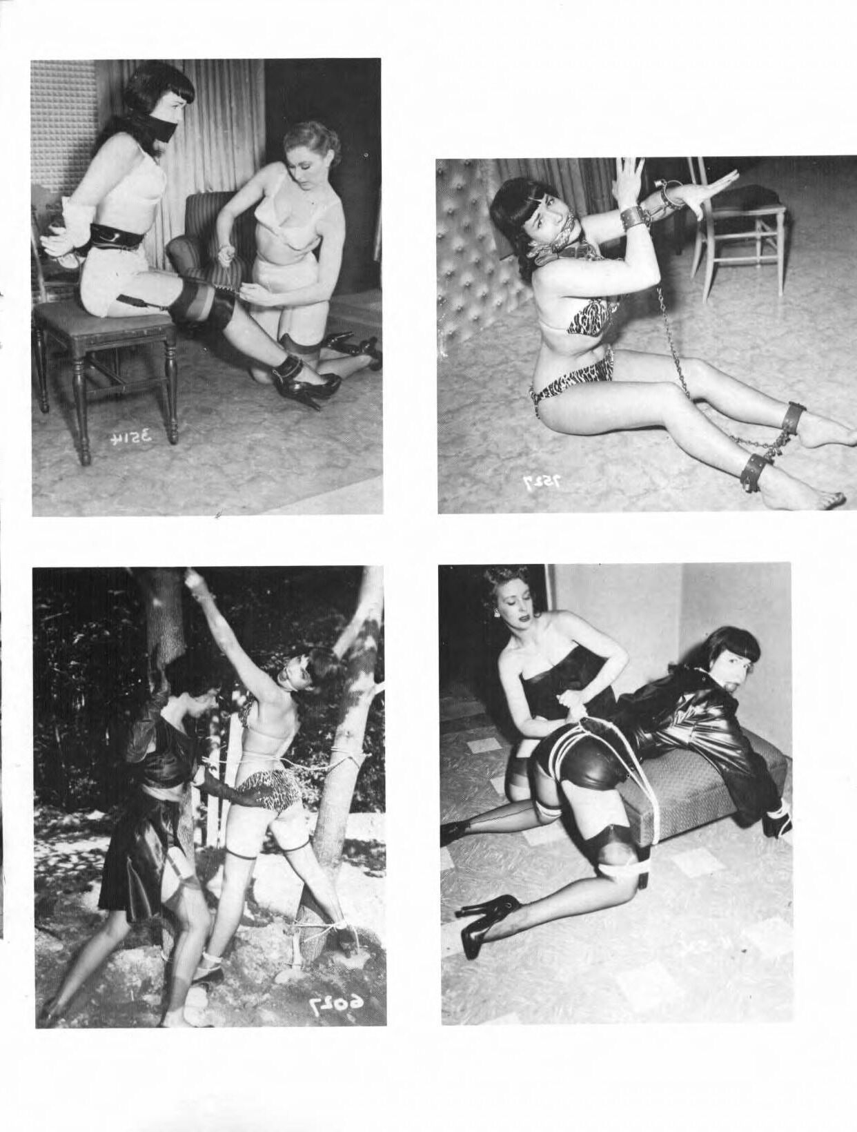 Betty Page Private Peeks, volume ()