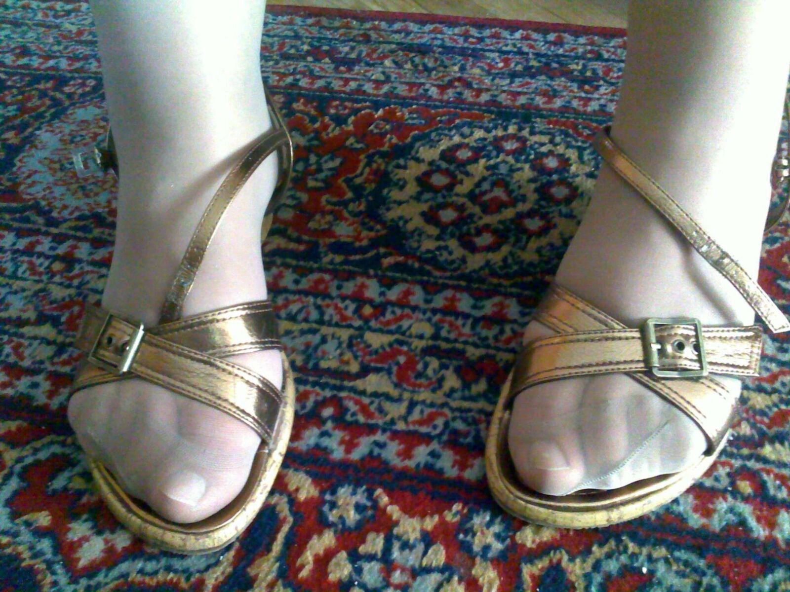 Collants