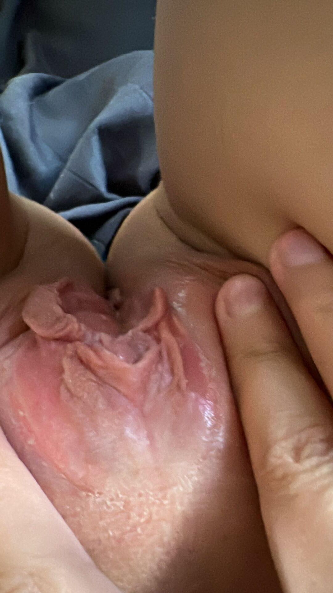 My little pet 