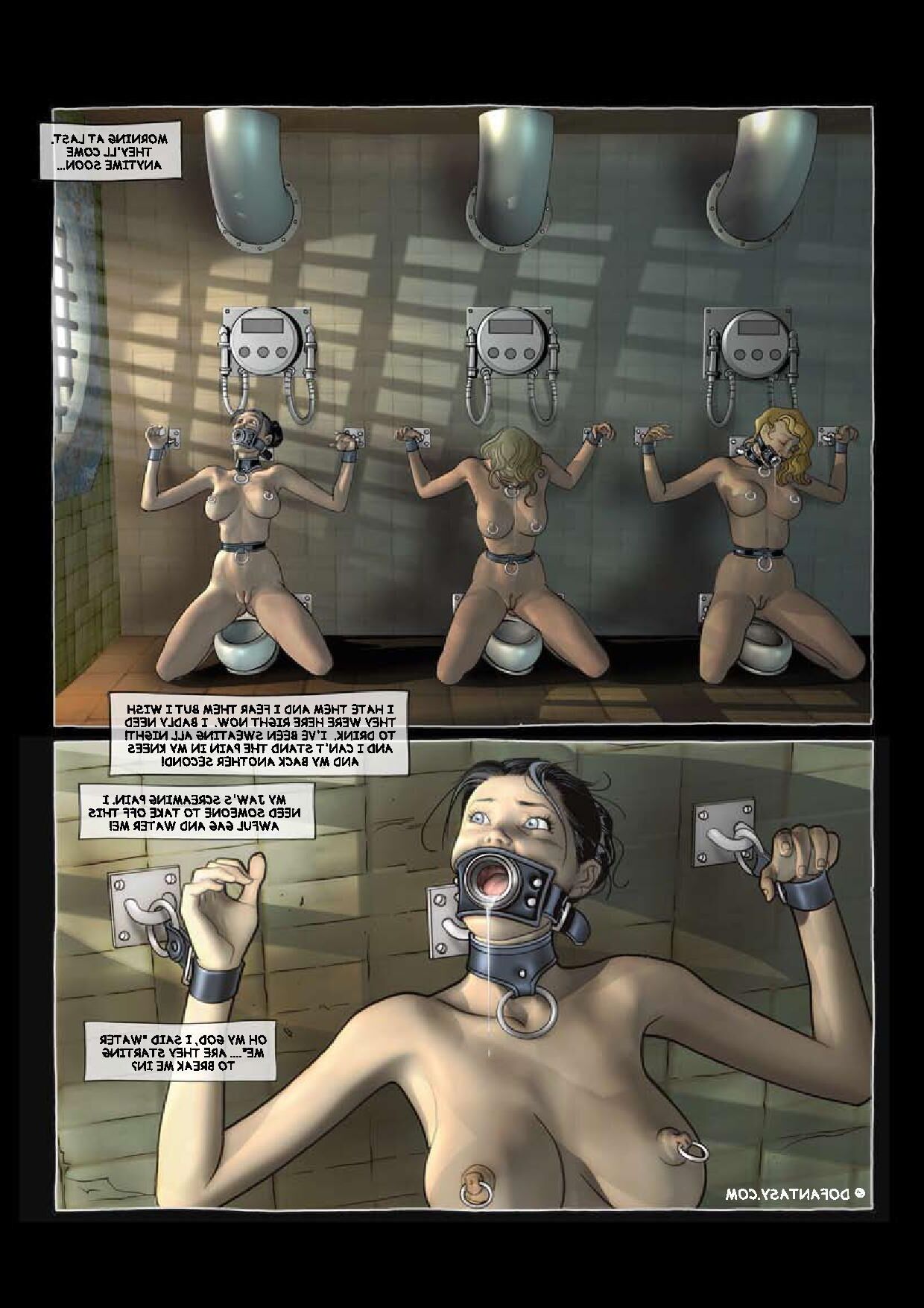 Ponygirl training