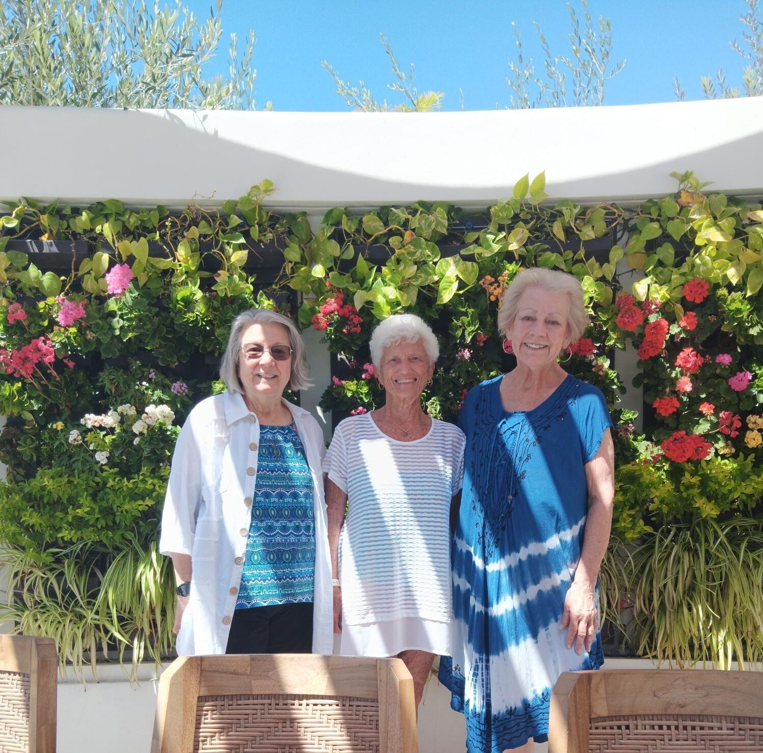 granny paradise 