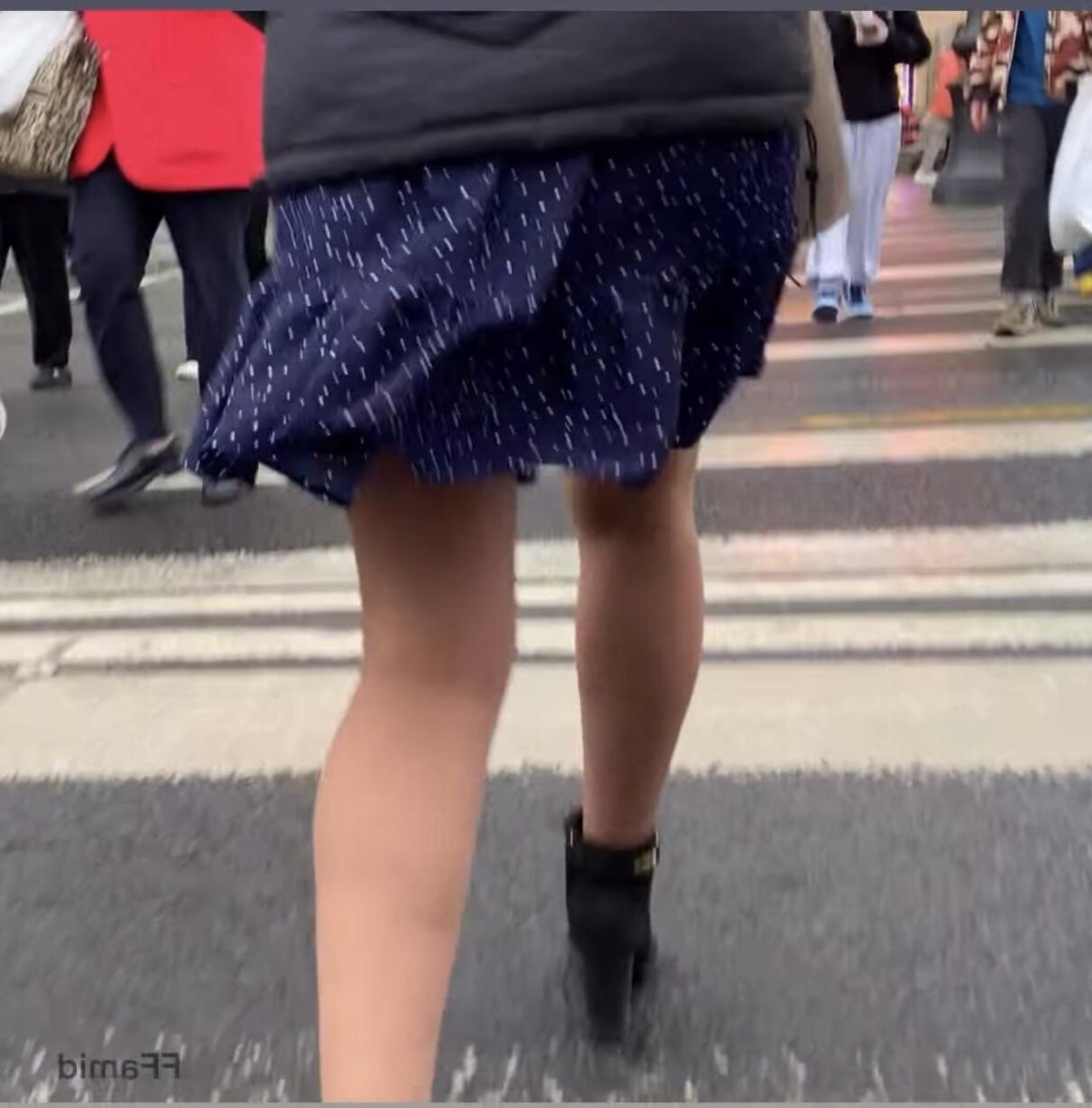 Candid tights 