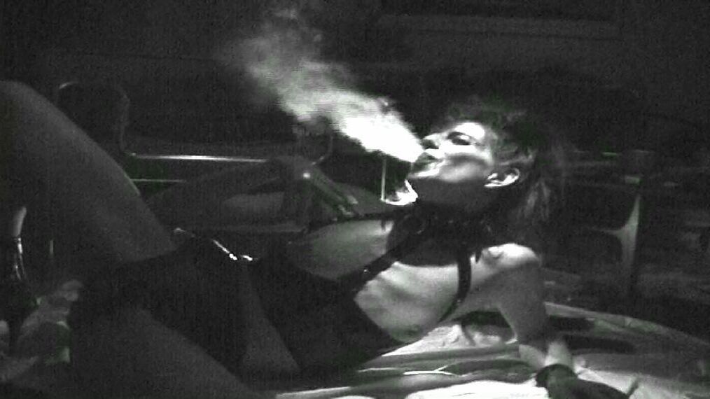 Humo de perra