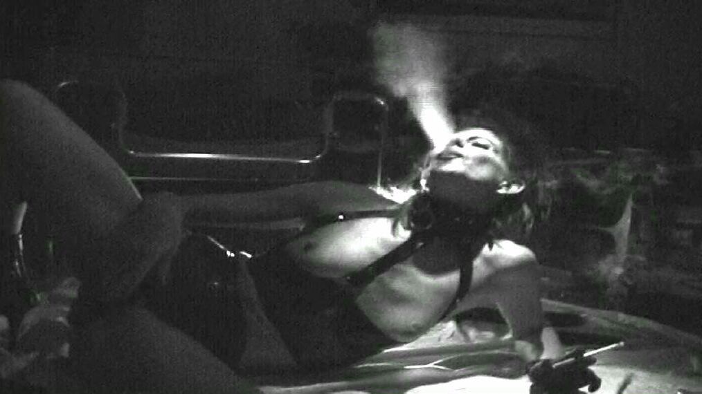 Humo de perra