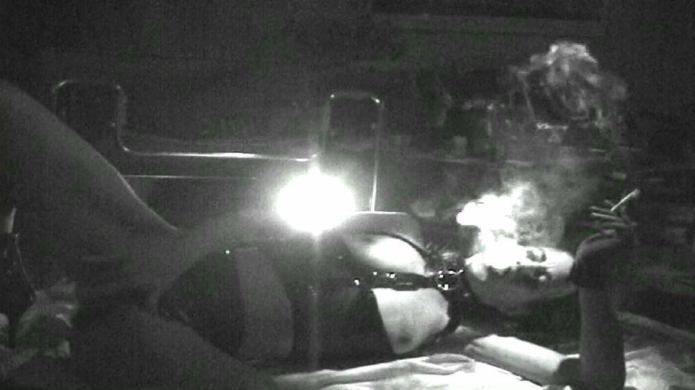 Humo de perra