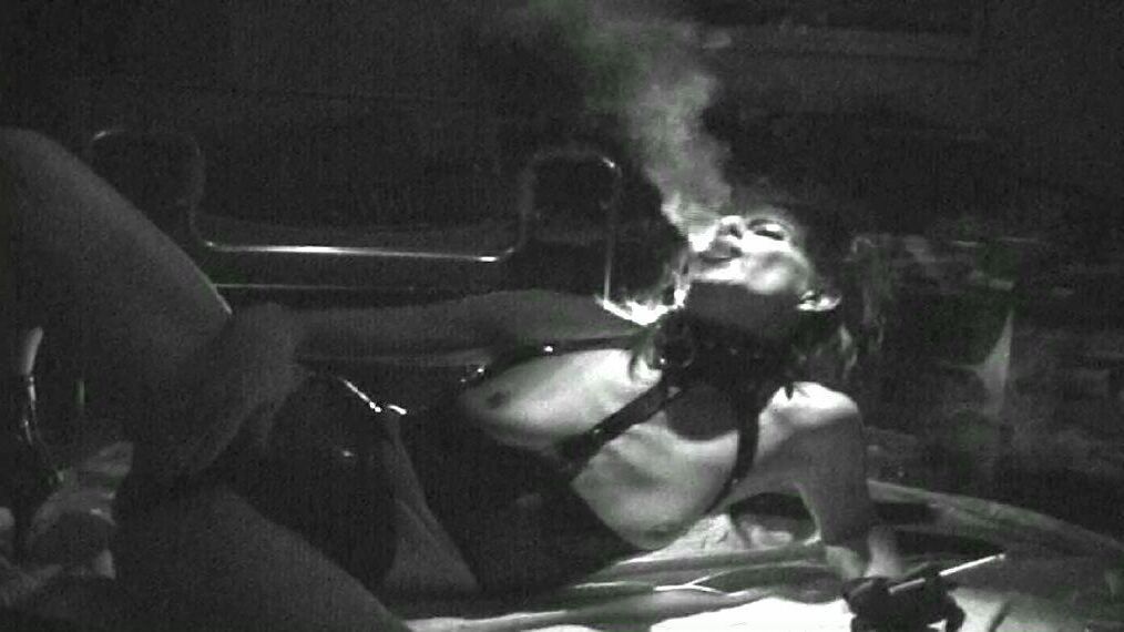 Humo de perra
