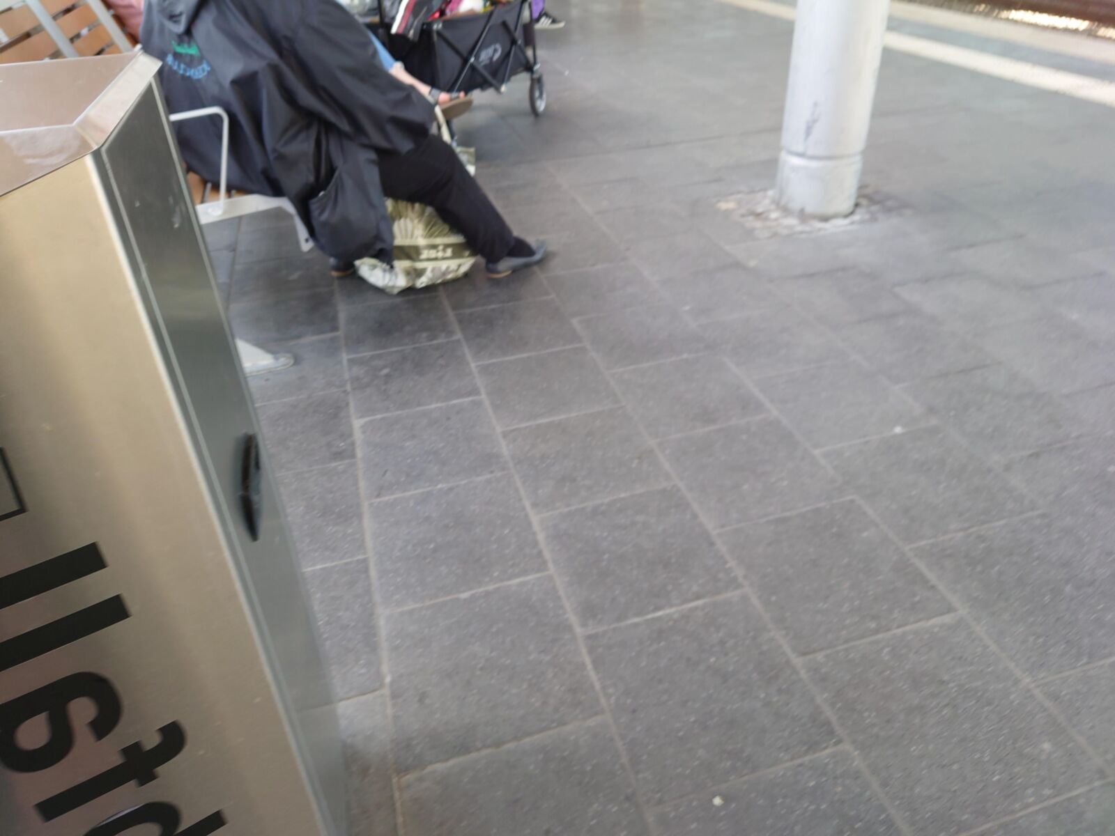 彼女は鳩を着た靴で養います