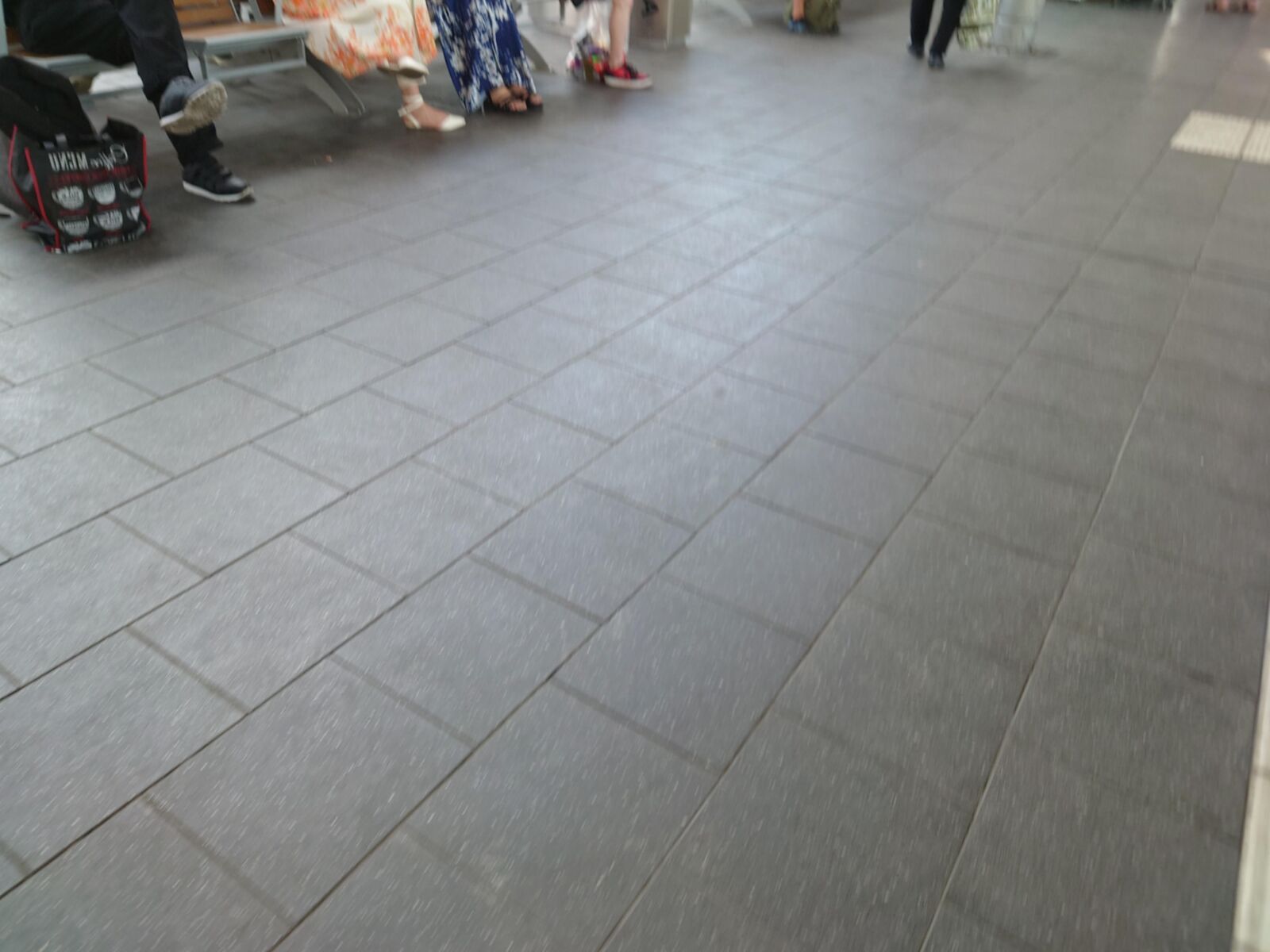 彼女は鳩を着た靴で養います