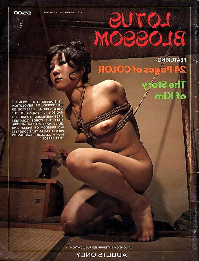 Assorted Bondage Magazine Covers 