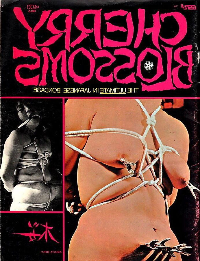 Assorted Bondage Magazine Covers 
