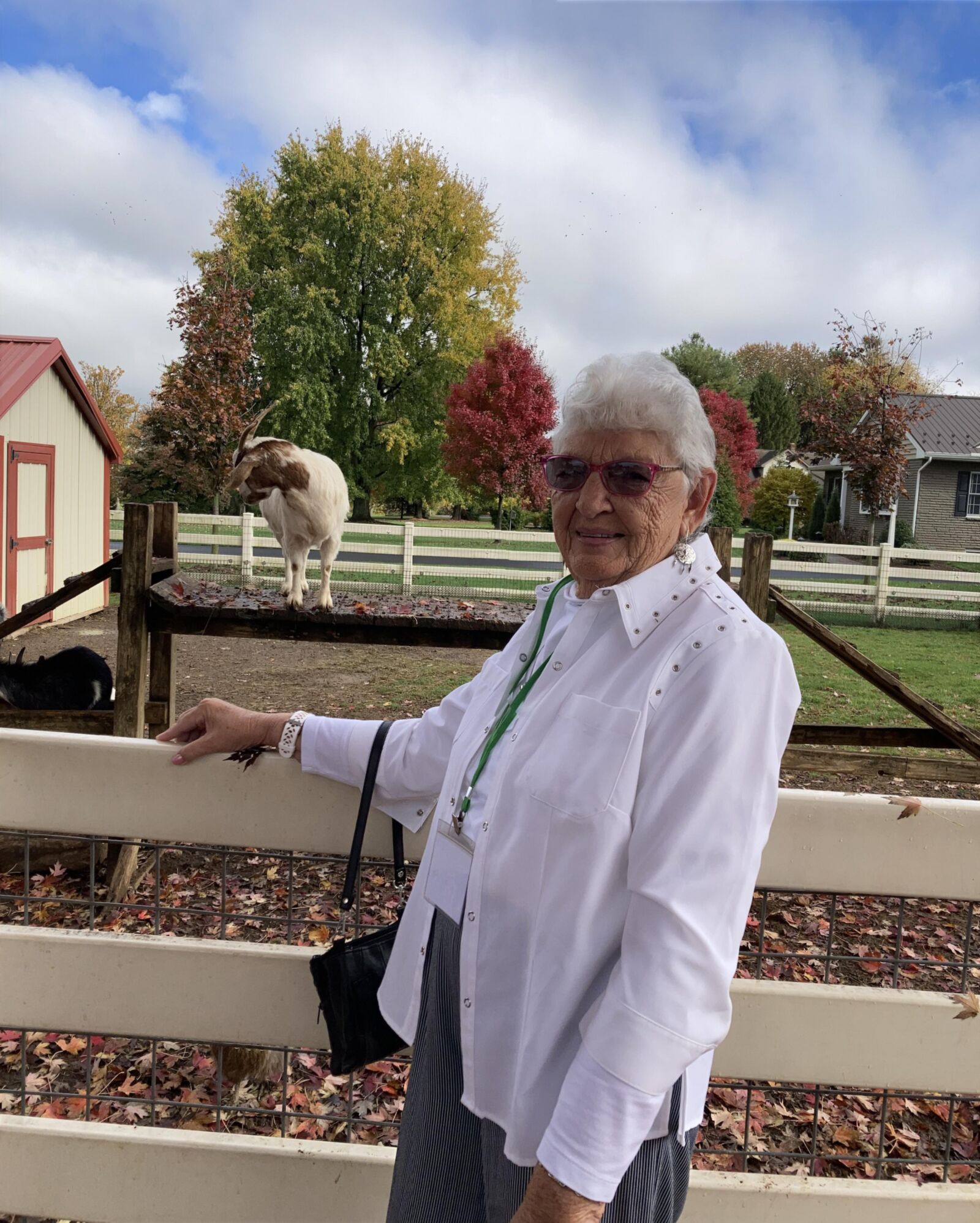 granny paradise 