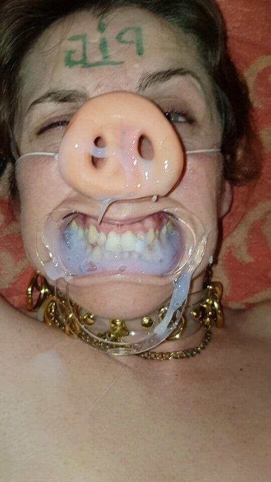 Still more disgusting pigs