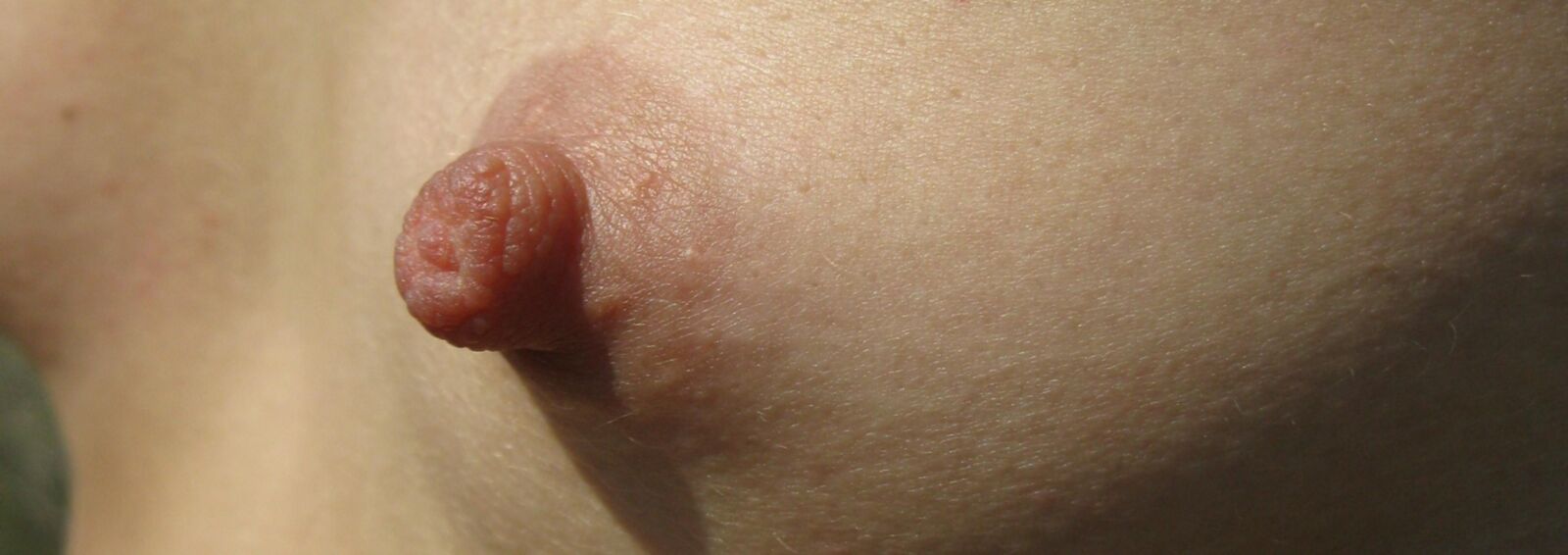 私が好きなおっぱい