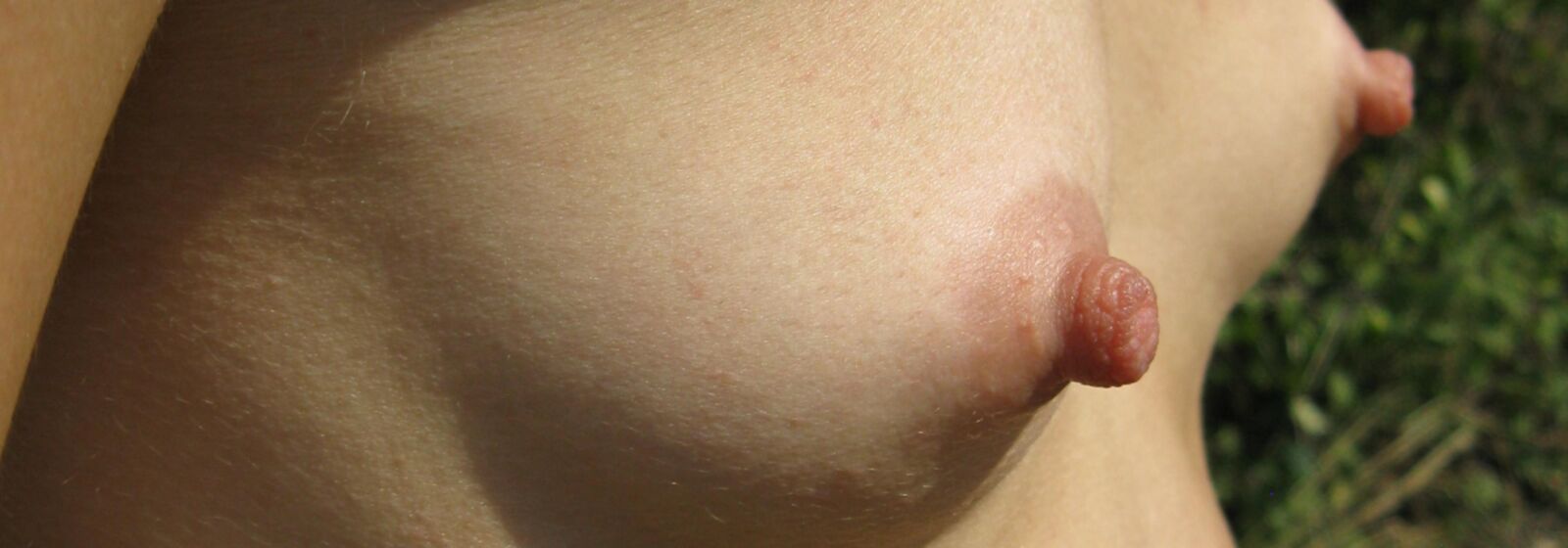 私が好きなおっぱい
