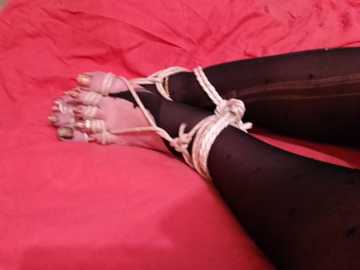 成熟した奴隷ltn